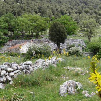 Mattinata, im apulischen Vorgebirge des Gargano, trägt den Beiname „Stadt der wild wachsenden Orchideen“ - (c) Jörg Bornmann