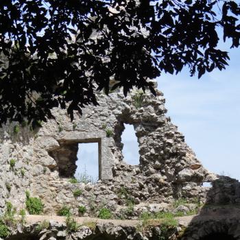 Mattinata, im apulischen Vorgebirge des Gargano, trägt den Beiname „Stadt der wild wachsenden Orchideen“ - (c) Jörg Bornmann