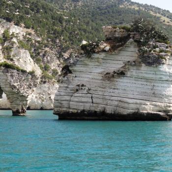 Mattinata, im apulischen Vorgebirge des Gargano, trägt den Beiname „Stadt der wild wachsenden Orchideen“ - (c) Jörg Bornmann