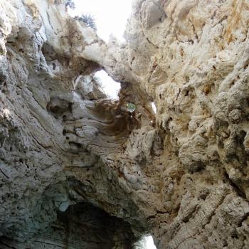 Mattinata, im apulischen Vorgebirge des Gargano, trägt den Beiname „Stadt der wild wachsenden Orchideen“ - (c) Jörg Bornmann