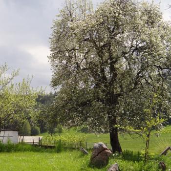 Eggental - Sanfte Landschaft neben rauhem Gebirge - (c) Jörg Bornmann