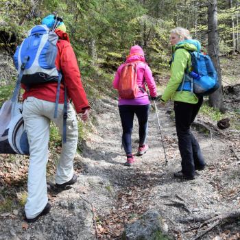 Immer wieder wandern diese grünen Schätze der Natur bei der Wanderung auch in ihren großen Korb - (c) Gabi Vögele