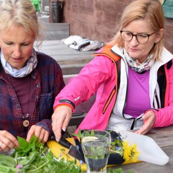 Auf der Sonnenterrasse des Weinberghauses sitzend, mit phantastischem Ausblick auf das Inntal, zerpflücken die Teilnehmer den Inhalt von Marias Kräuterkorb- (c) Gabi Vögele