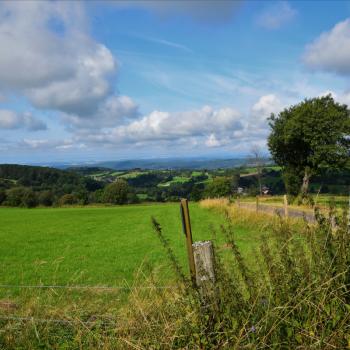 Der Vogelsberg liegt ziemlich genau in der Mitte Deutschlands, nördlich von Frankfurt am Main in Hessen - Wandern im Vogelsberg – Die Gipfeltour Schotten - (c) Gabi Vögele