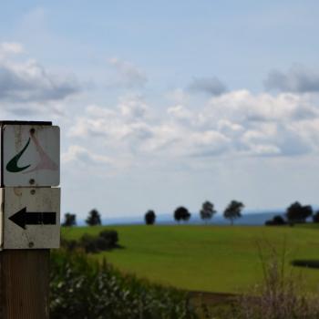 Selbst unter Wanderfreunden ist dieses Mittelgebirge noch ein absoluter Geheimtipp - Wandern im Vogelsberg – Die Gipfeltour Schotten - (c) Gabi Vögele