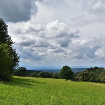 Wir verlassen schließlich den Wald und vor uns öffnet sich eine fast parkähnliche Landschaft - Wandern im Vogelsberg – Die Gipfeltour Schotten - (c) Gabi Vögele