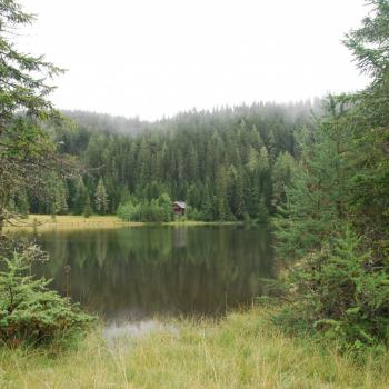 Prebersee Schießen - Nach dem Schießen liegt der Prebersee wieder ruhig im Wald und alle Wald- und Seebowhner haben wieder ihre verdiente Ruhe - (c) Gabi Vögele