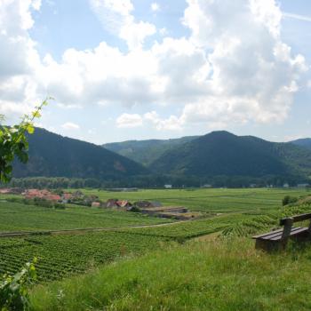 Kunst entlang des Weges mit einem wunderbaren Blick über die Wachau - (c) Gabi Vögele