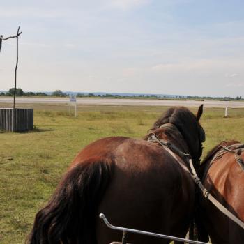 Der Neusiedler See mit einem Hauch Ungarn