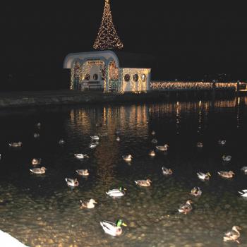 Christbaumversenken im Wörthersee