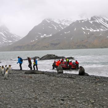 Eiskaltes Paradies am Ende der Welt