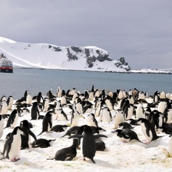 Eiskaltes Paradies am Ende der Welt