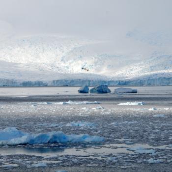 Eiskaltes Paradies am Ende der Welt