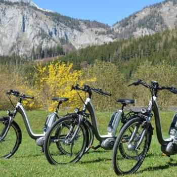 Alps Residence - Erzberg Alpin Resort - Ausflug mit E-Bikes