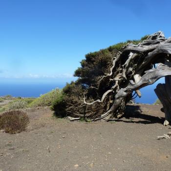 El Hierro ist für Wanderer und Naturliebhaber - Zu den meisten kleinen Ansiedlungen gehört auch eine Kirche - (c) Gabi Dräger