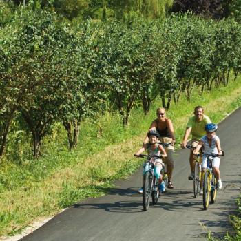 Genussradfahren auf den Radwegen des Valsugana - (c) Ronny Kiaulehn TVB Valsugana Lagorai