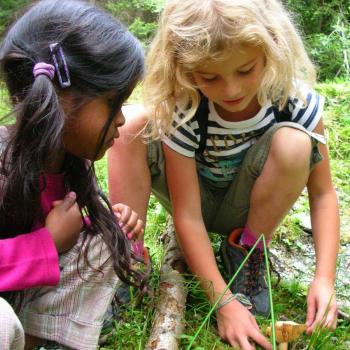 Neues erleben, die Geheimnisse der Natur lüften – und unbändige Freude verspüren: Das steht in der Silberregion Karwendel für Kinder und ihre Eltern auf dem Silber-Ranger-Programm - (c) TVB Silberregion Karwendel