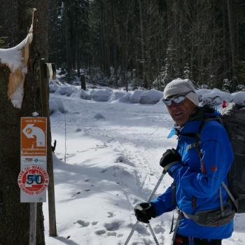 Expedition auf dünnen Brettern - Fernskiwanderweg Schwarzwald - (c) Klaus Pfenning