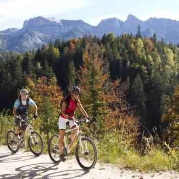 Bunt geschmückt und blank geputzt werden die Kühe, begleitet von viel Volksmusik, beim Almabtrieb auf den Marsch Richtung Heimatstall geschickt - (c) Achensee Tourismus