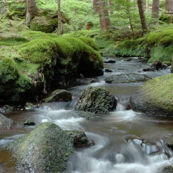 Fichtelgebirge Flusslandschaft Weisser Main