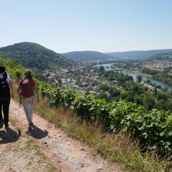 Der Erfinder des fränkischen Rotweinwanderweges, Willi Stritzinger - (c) Klaus Pfenning