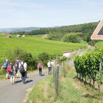 Der Erfinder des fränkischen Rotweinwanderweges, Willi Stritzinger - (c) Klaus Pfenning