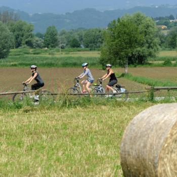 Auch für Radler ist eine große Abwechslung gegeben, ob Mountain-, Renn- oder Tourenbike, hier findet jeder Radler seine passenden Strecken - (c) Daniele Mosna TVB Valsugana Lagorai
