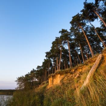 Wandern auf Usedom - Gnitz - (c) Dirk Bleyer