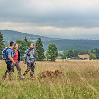 „Wandern mit Hund“ auf den Top Trails of Germany - durch Wald und Wiesen mit dem Vierbeiner: Die schönsten Wandertouren mit Hund auf den 13 deutschen Spitzenwanderwege - (c) Top Trails of Germany