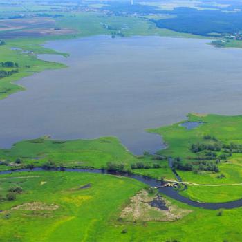 m Bereich der unteren Havel führt der NABU die größte Flussrenaturierung in Mitteleuropa durch - (c) Klemens Karkow