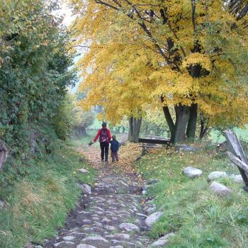 Herbstwanderung im Eisacktal - Tourismusverein Klausen