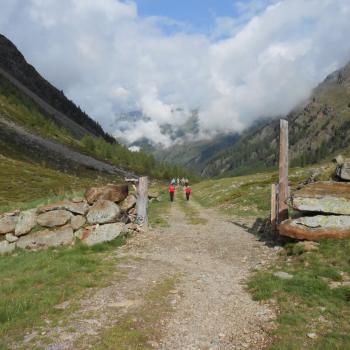 Wander in Osttirol mit einem Ass im Villgratental - Vom Villgratental aus kann man diese auch am Karnischen Kamm bewundern - (c) Jörg Bornmann