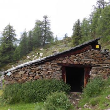 Wander in Osttirol mit einem Ass im Villgratental - Vom Villgratental aus kann man diese auch am Karnischen Kamm bewundern - (c) Jörg Bornmann