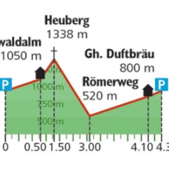 Wanderung auf den Heuberg im Chiemgau - Höhenprofil