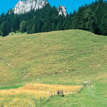 Heuberg, 1338 m, Almenwanderung auf einen vielgipfeligen Talwächter - <a href="https://www.wanderfreak.de/heuberg-1338-m" target="_blank">Zur Tourbeschreibung</a> - (c) Rother Bergverlag