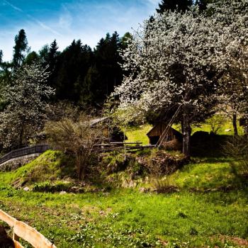 Frühling im Valsugana, schnell schafft es die südliche Sonne die Natur nach dem Winter zum Leben zu erwecken - (c) Storytravelers TVB Valsugana Lagorai