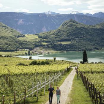 Wandern am Kalterer See - Endlich wieder Südtirol – Mit Abstand der schönste Urlaub - (c) Benjamin Pfitscher