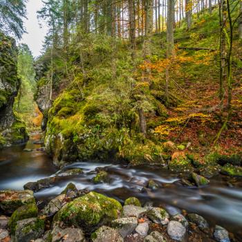 Die schönsten Touren durch den bunten Herbst - Deutschland entdecken auf den Top Trails of Germany - (c) Top Trails of Germany