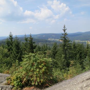 Blick vom Nebelstein - (c) Eva-Maria Mayring