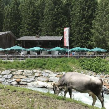 Miniwanderungen im Stubaital - (c) Gabi Dräger