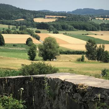 Waldeck – Kräuter sammeln und Waldbaden  - (c) Gabi Dräger