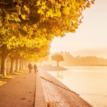 Premiumwandern auf dem SeeGang - Konstanz Seestraße - (c) MTK Dagmar Schwelle