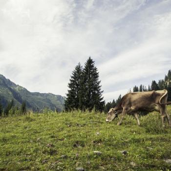 Wandern im Kleinwalsertal - Wanderung Wanderlust Vorarlberg Allgäu