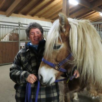 Katharina Biehler, Expertin für Haflinger und den Reitbetrieb auf dem Sulfner Hof kennt die Geschichte der Haflinger, die vor 150 Jahren begann - (c) Eva-Maria Mayring