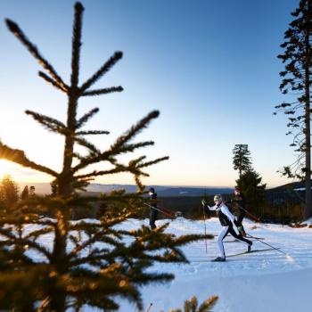 Langlaufen in der Ferienregion (© Marco Felgenhauer, Woidlife Photography, Ferienregion Nationalpark Bayerischer Wald)