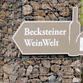 Weinwandern im Lieblichen Taubertal, eine wunderbare Region um zu Fuß vieles über Weinbau und -geschichte zu erfahren - (c) Tourismusverband Liebliches Taubertal / Tom Weller