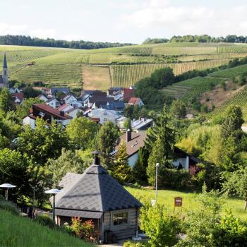 Weinwandern im Lieblichen Taubertal, eine wunderbare Region um zu Fuß vieles über Weinbau und -geschichte zu erfahren - (c) Tourismusverband Liebliches Taubertal / Tom Weller