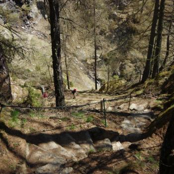 Wandern in Südtirol auf dem „Meraner Höhenweg“ - (c) Nicoletta De Rossi