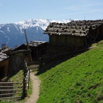 Wandern in Südtirol auf dem „Meraner Höhenweg“ - (c) Nicoletta De Rossi