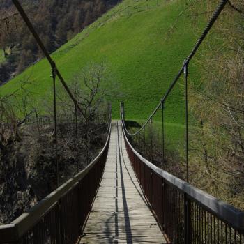 Wandern in Südtirol auf dem „Meraner Höhenweg“ - (c) Nicoletta De Rossi